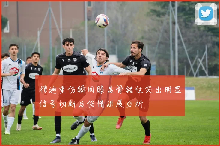 穆迪重伤瞬间膝盖骨错位突出明显信号切断后伤情进展分析