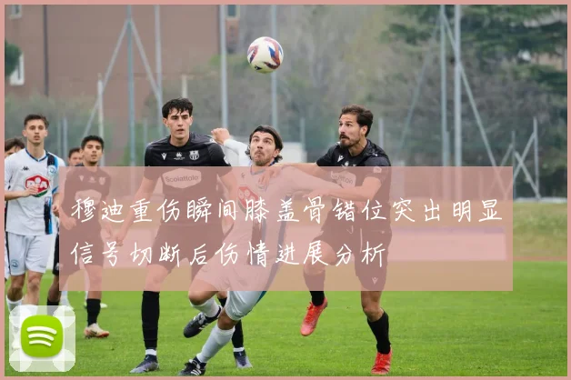 穆迪重伤瞬间膝盖骨错位突出明显信号切断后伤情进展分析