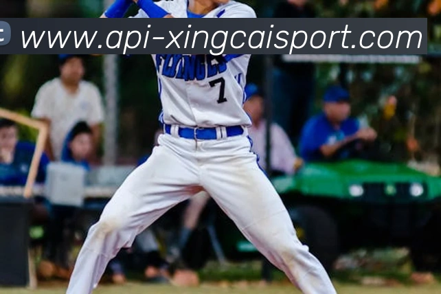 杏彩体育APP 封面图